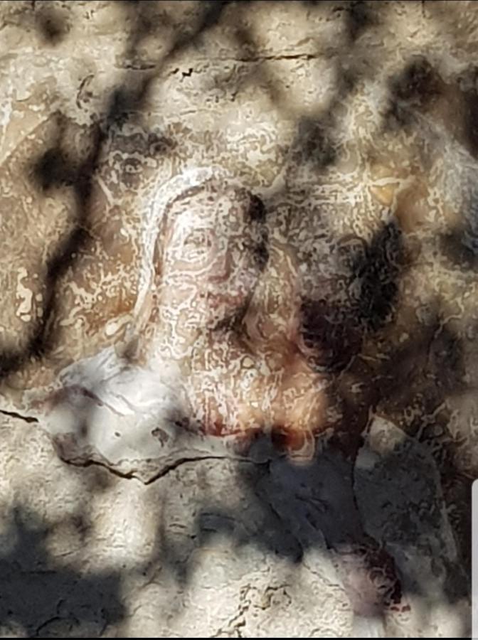 Chambre D'Hote Geiko Cabrieres-d'Aigues 외부 사진
